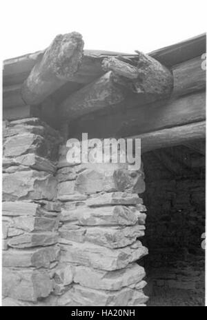 Il Grand Canyon Mule Corral, istituito dal Park Service nel 1985, è un sito storico nel Grand Canyon National Park. I muli vengono utilizzati per aiutare i visitatori ad esplorare il vasto paesaggio del canyon attraverso visite guidate. Foto Stock