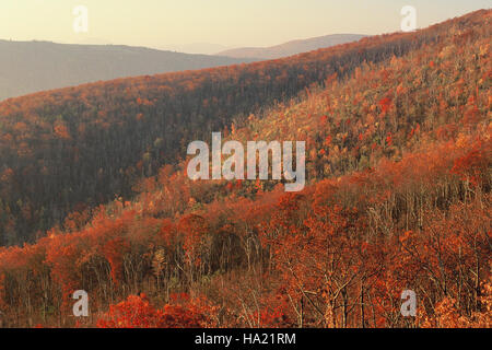 La vista sul fiume Moormans nel Parco Nazionale dello Shenandoah offre una vista panoramica del paesaggio circostante, mostrando i diversi ecosistemi del parco e la bellezza del suo terreno montuoso, offrendo ai visitatori un'esperienza naturale immersiva. Foto Stock