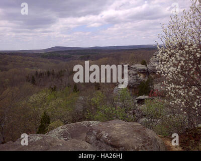 Camel Rock, situata nel Giardino degli dei della Shawnee National Forest, è una formazione rocciosa unica nota per la sua sorprendente somiglianza con il profilo di un cammello, che offre ai visitatori panorami mozzafiato e opportunità di escursioni. Foto Stock