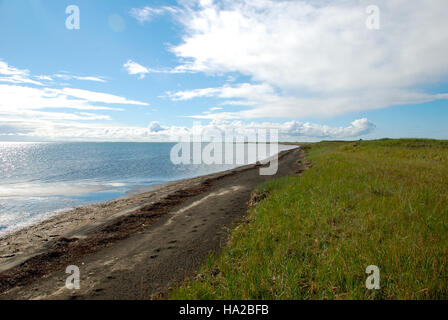 La costa del Bering Land Bridge è una caratteristica geografica significativa che collega Asia e Nord America, storicamente importante per la migrazione umana e la storia naturale. Foto Stock