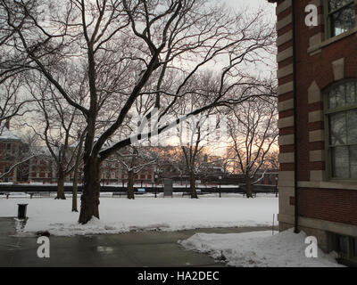 Un tramonto invernale su Ellis Island cattura la bellezza serena del paesaggio storico dell'isola. La scena mostra la miscela di bellezza naturale del parco e il suo ruolo nella storia americana come porta d'ingresso per l'immigrazione. Foto Stock