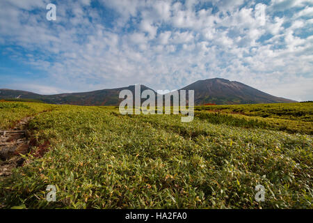 Vista di Mt. Asahidake, Daisetsuzan gruppo vulcano, Hokkaido, Giappone Foto Stock