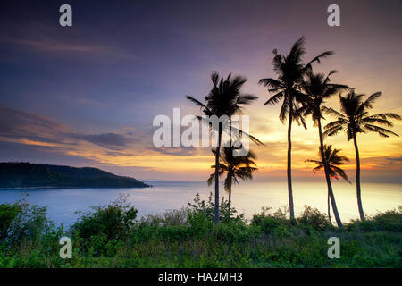 Le palme e la fascia costiera sull'oceano al tramonto, Lombok Foto Stock