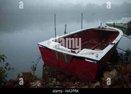 Piccola barca sulla sponda di un fiume nella nebbia Foto Stock