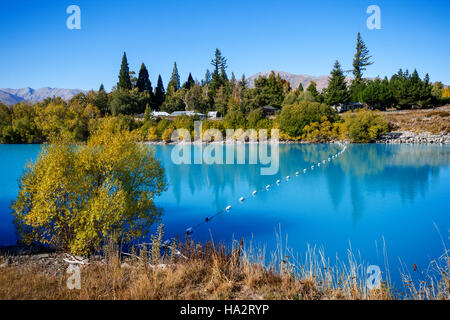 Lago Tekapo, Mackenzie District, Isola del Sud, Nuova Zelanda Foto Stock