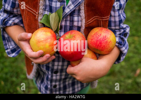 Ragazzo in piedi in orchard azienda appena raccolto mele Foto Stock