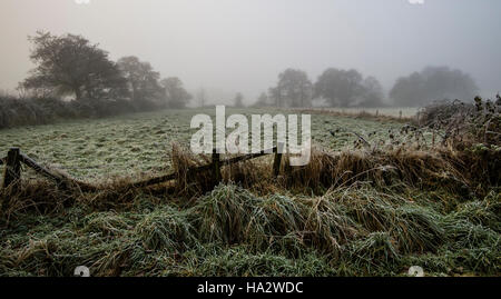 Frosty campo con alberi al di là appena visibile attraverso la nebbia, ripartiti recinzione in primo piano Foto Stock