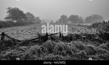 Frosty campo con alberi al di là appena visibile attraverso la nebbia, ripartiti recinzione in primo piano Foto Stock