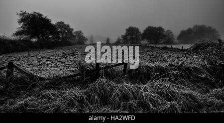 Frosty campo con alberi al di là appena visibile attraverso la nebbia, ripartiti recinzione in primo piano Foto Stock