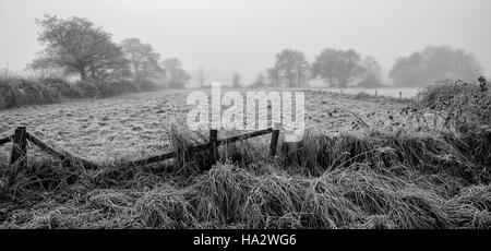 Frosty campo con alberi al di là appena visibile attraverso la nebbia, ripartiti recinzione in primo piano Foto Stock