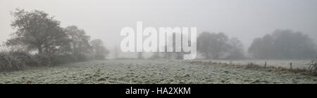 Frosty campo con alberi oltre il visibile attraverso la nebbia Foto Stock