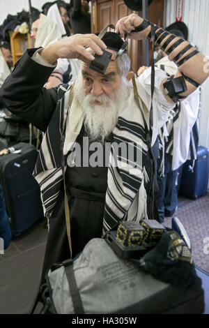 Un vecchio uomo ebraico con la barba mettendo sul tefillin in una sinagoga a Montefiore cimitero di Cambria Heights, Queens, a New York. Foto Stock