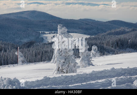 Feldberg, Germania - 18 Gennaio 2016: vista dal monte Feldberg, la montagna più alta nel Blackforest Foto Stock