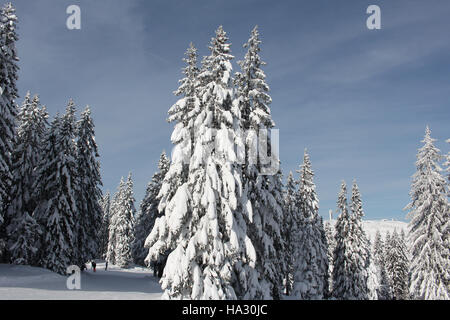 Feldberg, Germania - 18 Gennaio 2016: vista dal monte Feldberg, la montagna più alta nel Blackforest Foto Stock