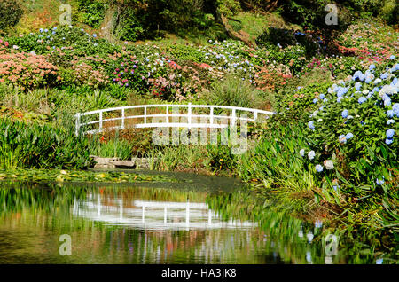 Trebah gardens vicino Mawnan-Smith in Cornovaglia, England, Regno Unito Foto Stock