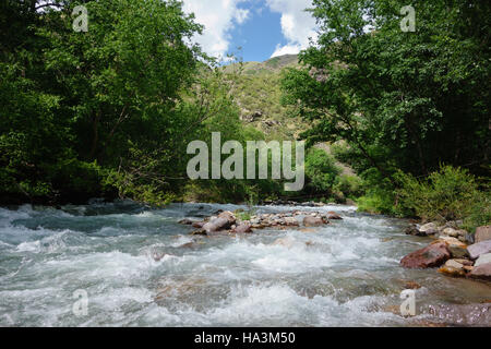 Fiume di montagna nella gola Turgen vicino a Almaty, Kazakhstan Foto Stock