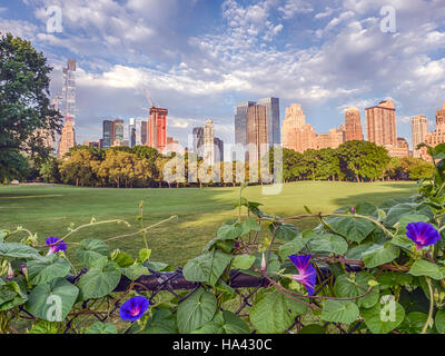 Il Central Park di New York City in grande prato nelle prime ore del mattino con fiori Foto Stock