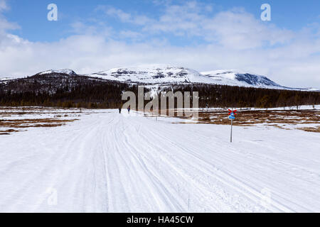 In Snowmobile trail, le vie e i segni della neve primaverile. Tussock e zona umida di entrambi i lati. Montagne sullo sfondo. Foto Stock