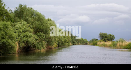 Uno dei canali più piccoli nel Delta del Danubio, Romania. Foto Stock