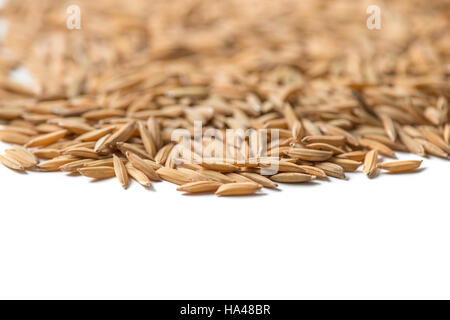 Sementi di risone su sfondo bianco Foto Stock