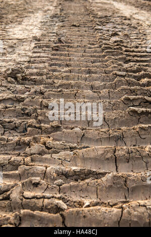 Le tracce delle ruote sul terreno sporco Foto Stock