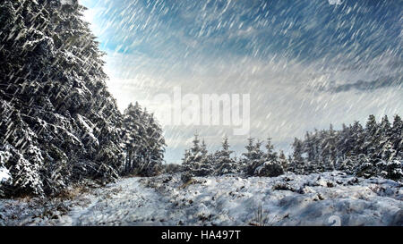 beautiful winter landscape in the forest with snow falling Foto Stock