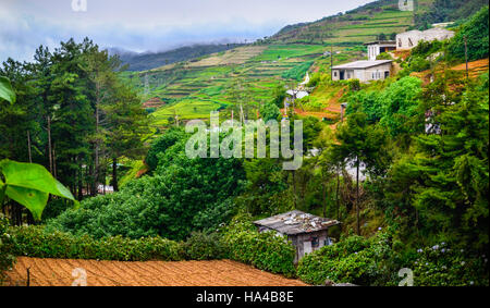 Sri lanka la vita del villaggio in montagna Foto Stock