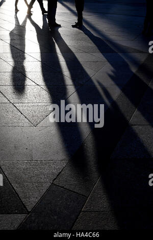 Colonia, Germania. 25 Nov, 2016. dpatopimages - Il sole di mattina getta ombre lunghe sulla piattaforma della Cattedrale di Colonia, Germania, 25 novembre 2016. Foto: Federico Gambarini/dpa/Alamy Live News Foto Stock