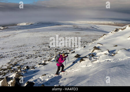 North Pennines, Croce cadde, Cumbria Regno Unito. Sabato 26 novembre 2016, UK Weekend Meteo. Dopo un gelido luminosa partenza con ampie vedute del Eden Valley verso le montagne coperte di neve del distretto del lago, una banda di aria più calda da nord portato aumentando il cloud e la collina nebbia alla zona. Credito: David Forster/Alamy Live News Foto Stock