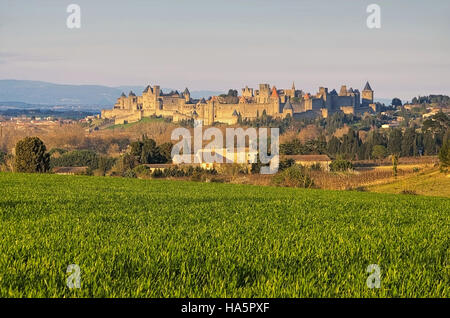 Cite von Carcassonne - Castello di Carcassonne nel sud della Francia Foto Stock