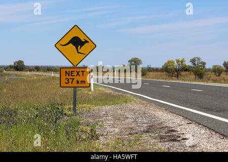 Canguro segno di avvertimento sul ciglio della strada nell'outback Foto Stock