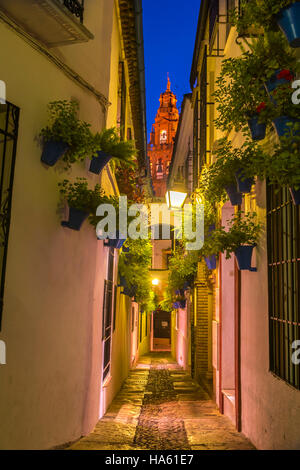 Calleja de las Flores a Cordoba, Andalusia, Spagna Foto Stock