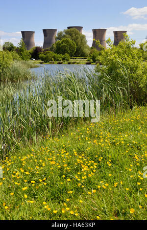 I cinque grandi torri di raffreddamento a Willington Power Station che si vede attraverso la recente costruzione wildlife stagni vicino alla Marina di mercia. Foto Stock