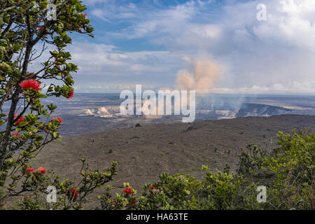 Il Kilauea Caldera vulcanica sulla Big Island delle Hawaii dal Jaggar Museum Foto Stock