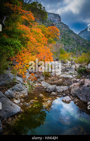 Canyon McKittrick è un canyon panoramico entro il Guadalupe Montagne di West Texas e Eddy County, Nuovo Messico. Le ripide pareti torreggianti di McKittrick Foto Stock