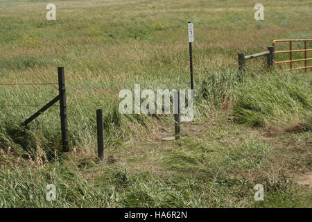 I progetti del FWS Recovery Act si concentrano sul ripristino degli ecosistemi e sul miglioramento degli habitat naturali nei parchi nazionali. Tali sforzi mirano a promuovere la biodiversità e sostenere le popolazioni di fauna selvatica sostenibili, contribuendo alla salute a lungo termine degli ecosistemi. Foto Stock