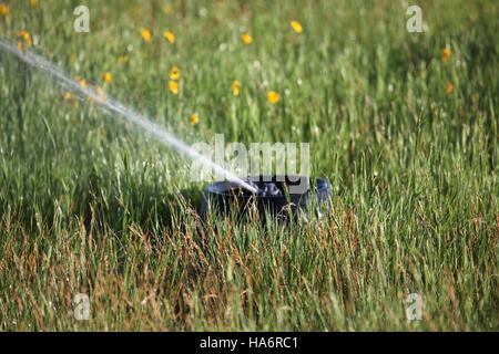 Questa immagine mostra la visione ravvicinata di un progetto relativo alla legge sul recupero della FWS, evidenziando i componenti dettagliati coinvolti nei lavori di restauro e conservazione ambientale facilitati dalla legge. Foto Stock