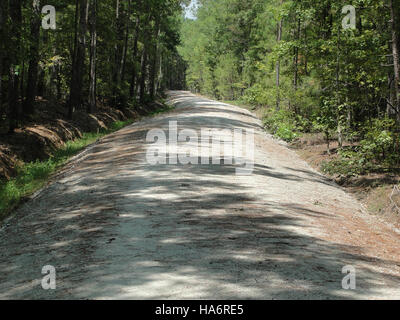 Questa immagine mostra i progetti di recupero finanziati dal *FWS Recovery Act* nel Santee National Wildlife Refuge, specificamente focalizzati sul ripristino degli habitat nella zona di Savannah Branch. Questi sforzi fanno parte della più ampia iniziativa di conservazione per proteggere e ripristinare gli habitat naturali per la fauna selvatica. Foto Stock