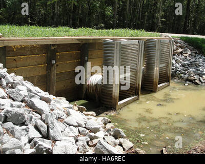 I progetti FWS Recovery Act a Savannah Beach nel 2011 miravano alla conservazione ambientale, concentrandosi sulla fauna costiera e sul ripristino dell'habitat. Questi progetti hanno contribuito al recupero degli ecosistemi e delle specie locali, dimostrando notevoli sforzi ambientali. Foto Stock