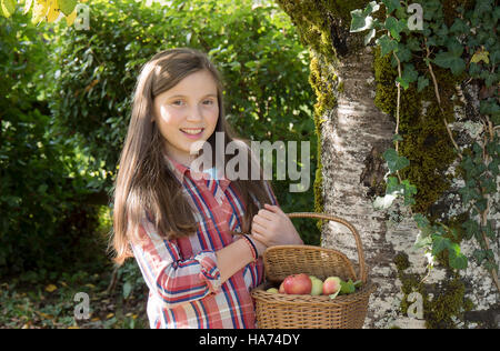 Giovani pre teen girl raccolta di mele in giardino Foto Stock