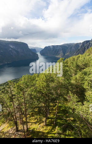 Vista Stegastein punto, Bjørgavegen, Aurland, Norvegia Foto Stock