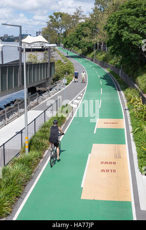 Bicentenario Bikeway sulle rive del Fiume Brisbane, Milton, Brisbane, Queensland, Australia Foto Stock