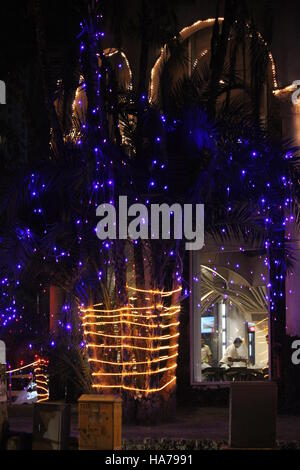 Il Natale o il Diwali tree cerimonia di illuminazione Foto Stock