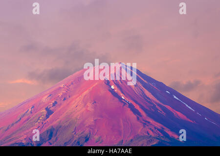 Splendido cielo rosa illumina la sommità del monte Fuji il cratere vulcanico in teleobiettivo dettagliata visualizza su una mattina d'estate in Kawaguchiko Foto Stock