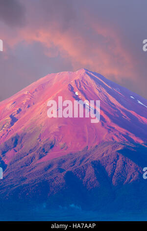 Bellissimo cielo rosa si illumina di rosso cono vulcanico in cima al Monte Fuji in dettaglio teleobiettivo con vista su di una mattina d'estate in Kawaguchiko Foto Stock