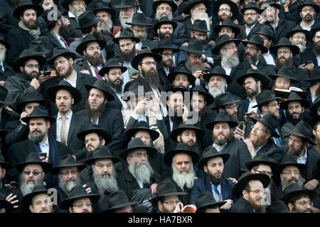 Un rabbino Lubavitch scatta una foto con il suo telefono cellulare presso l annuale foto di gruppo di emissari in Crown Heights, Brooklyn, New York. Foto Stock