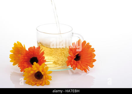 Tagete tè, Le calendule, (Calendula) Foto Stock