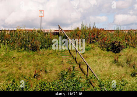 Passi che conducono fino a un sentiero di attraversamento su una delle principali linee ferroviarie. Foto Stock