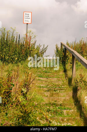 Passi che conducono fino a un sentiero di attraversamento su una delle principali linee ferroviarie. Foto Stock