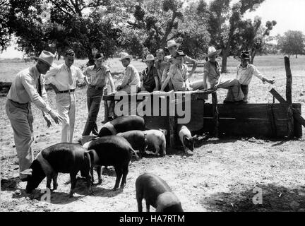 Un'immagine che mette in evidenza gli sforzi dell'USDA per affrontare le questioni dello sviluppo rurale, sottolineando le iniziative federali per promuovere la sostenibilità e lo sviluppo economico nelle comunità agricole. Foto Stock